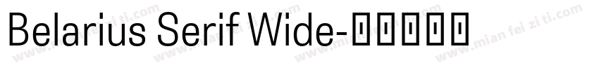 Belarius Serif Wide字体转换
